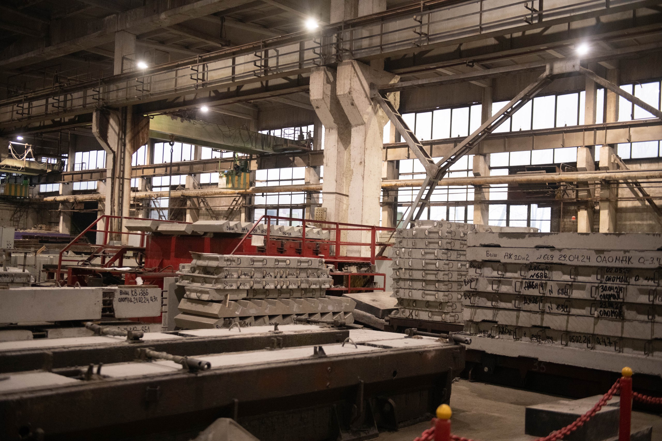 photo_2024-11-19_14-0