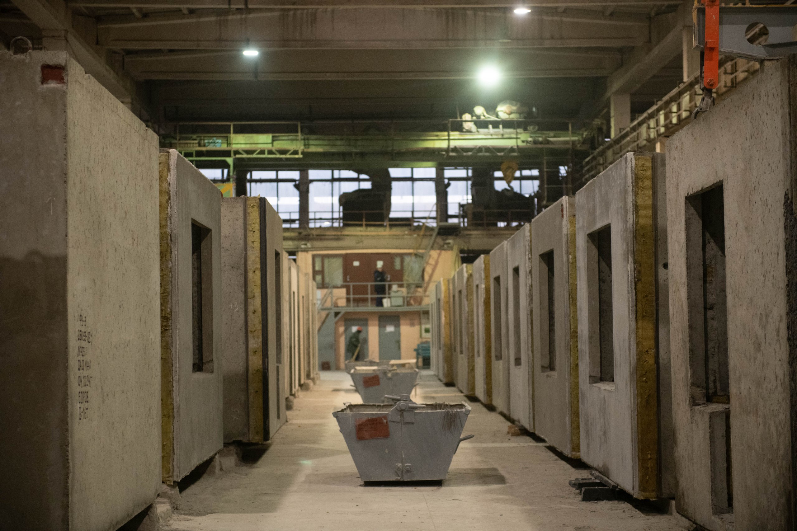 photo_2024-11-19_14-1