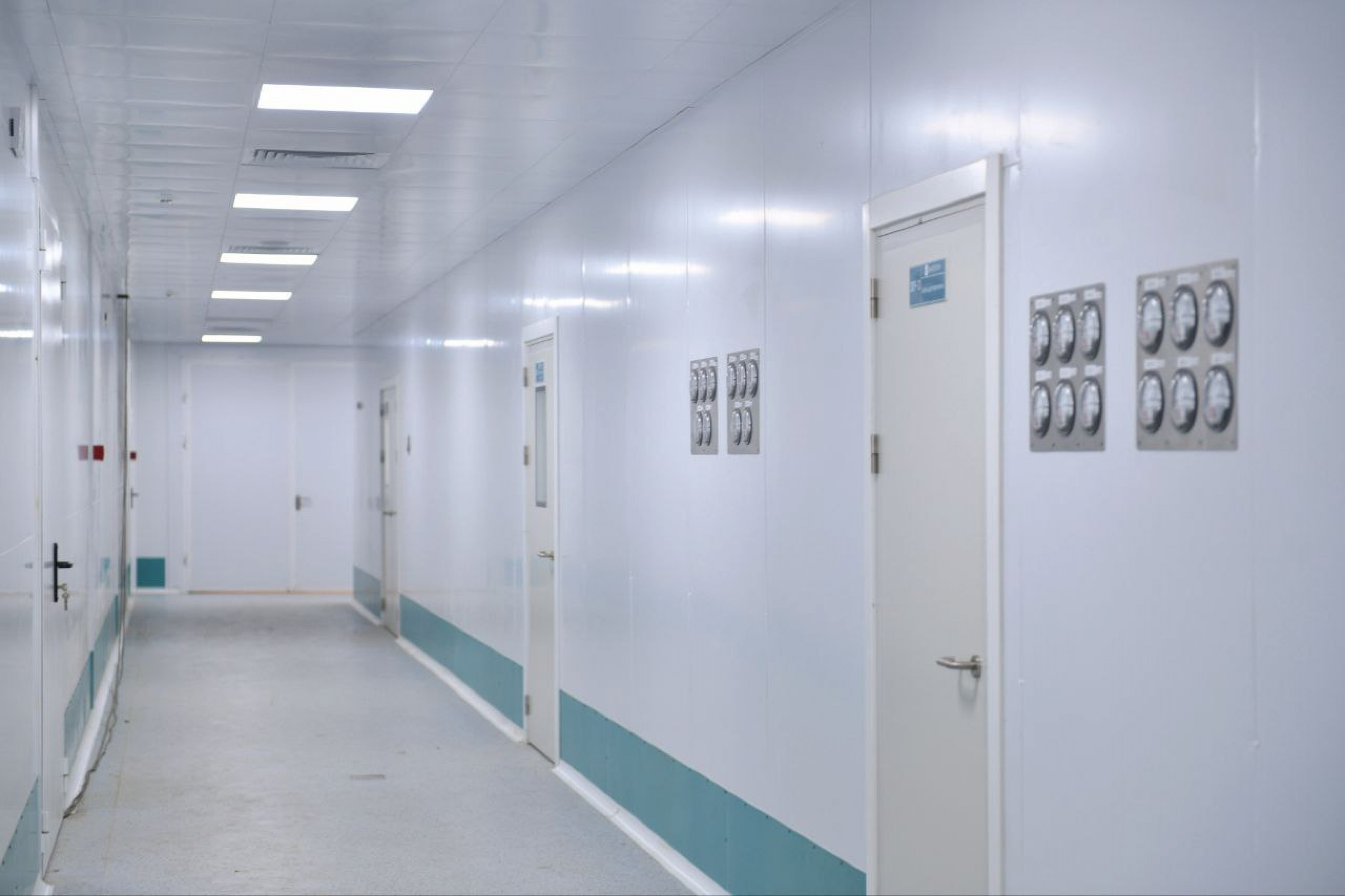 photo_2024-11-19_19-3