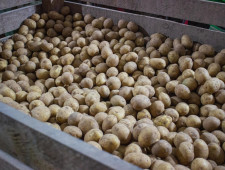 смоленская область наращивает внешнеторговый оборот в сфере агропромышленного комплекса - фото - 1