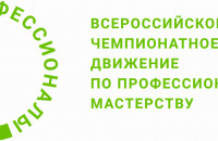 смоленские студенты в финале Чемпионата по профессиональному мастерству "Профессионалы" - фото - 2