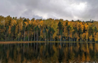 в Смоленской области стартовал новый национальный проект "Экологическое благополучие" - фото - 1