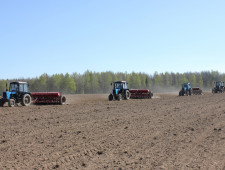в 2021 году Смоленщина первая в России начала предоставлять меры поддержки сельхозтоваропроизводителям - фото - 1