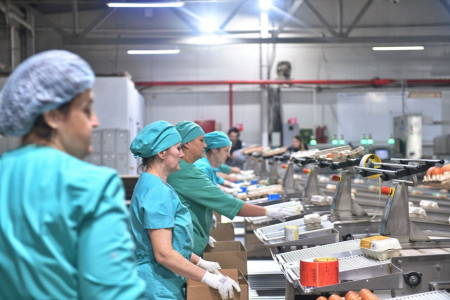 смоленские предприятия активно участвуют в федпроекте «Производительность труда» - фото - 1