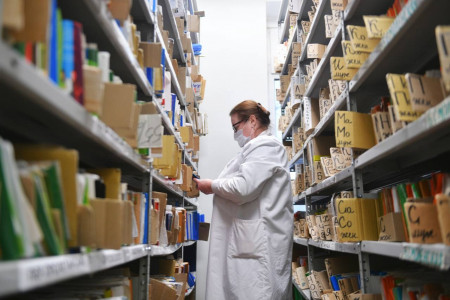 жители Смоленской области стали чаще записываться к врачу онлайн - фото - 1