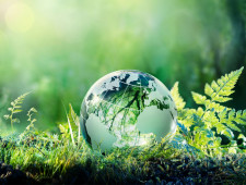 смоленщина присоединяется к празднованию Всемирного дня окружающей среды - фото - 1