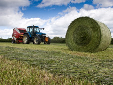 в хозяйствах Смоленской области ведется заготовка кормов - фото - 1
