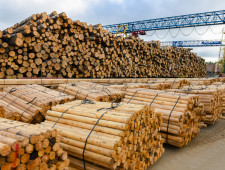 губернатор Алексей Островский ознакомился с работой Смоленского деревообрабатывающего комбината - фото - 1