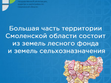 большая часть территории Смоленской области состоит из земель лесного фонда и земель сельхозназначения - фото - 1