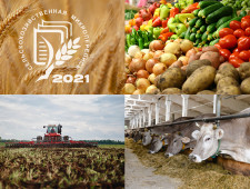 смоленская область присоединилась к Всероссийской сельскохозяйственной микропереписи - фото - 1