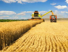 в Смоленской области продолжается уборочная кампания - фото - 1