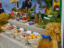 в Смоленске пройдет ежегодная сельскохозяйственная ярмарка - фото - 1