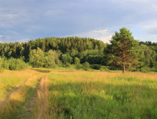 в Смоленской области завершился пожароопасный сезон - фото - 1